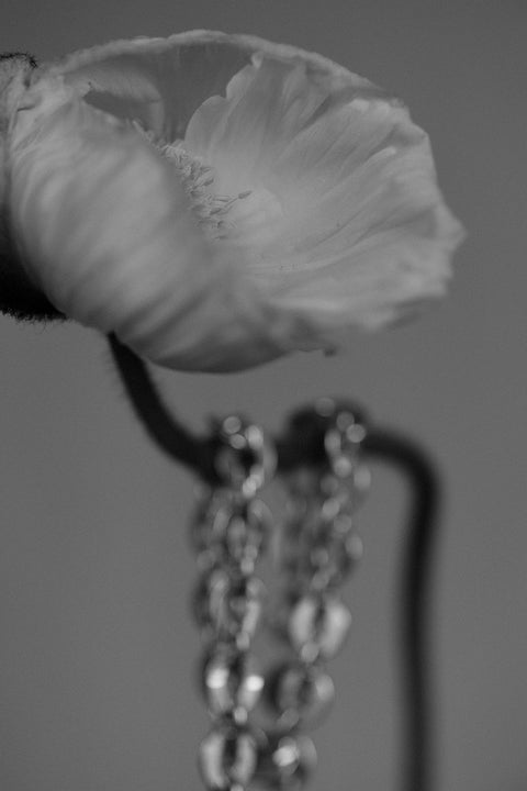 A bold chain necklace featuring elliptical, rounded links and an adjustable 42 cm length. Decorative yet modern, it works beautifully for everyday styling and special occasions. The round clasp can be worn at the front, offering creative freedom and a distinctive finish. Discover expressive elegance by UMIAR jewelry.