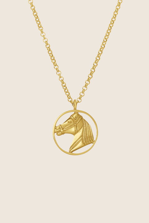 This elegant necklace with a double-sided sculpted horse pendant is a distinctive piece that embodies strength, freedom and timeless elegance. It subtly enhances everyday looks, becoming a personal talisman for those who appreciate refined style. Available in sterling silver and gold-plated sterling silver. Discover UMIAR jewelry and order online.