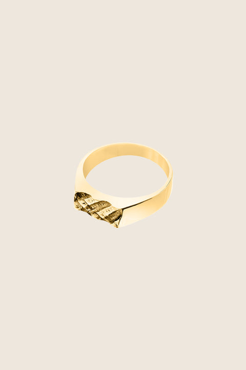 A refined signet ring with an embossed shell motif that captures the essence of summer by the sea. Featuring a 6 × 12 mm decorative element, it blends timeless elegance with a unique, symbolic detail. Perfect worn alone or stacked, and a thoughtful gift for birthdays, anniversaries, or engagements. Discover subtle summer charm by UMIAR jewelry.