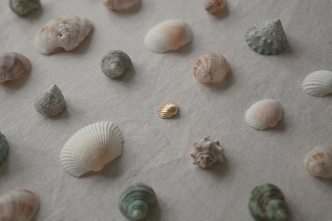 A delicate shell-shaped pendant measuring 15 x 10 mm, suspended on a 40 cm silver chain. Inspired by the ease of summer and the beauty of nature, this minimalist necklace works perfectly worn solo or layered with marine designs from the MARE collection. Discover subtle seaside elegance by UMIAR jewelry.